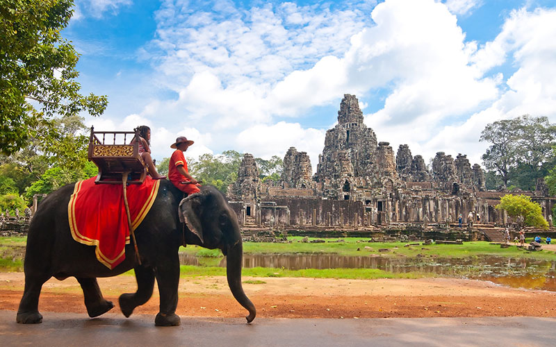 Elephant Angkor