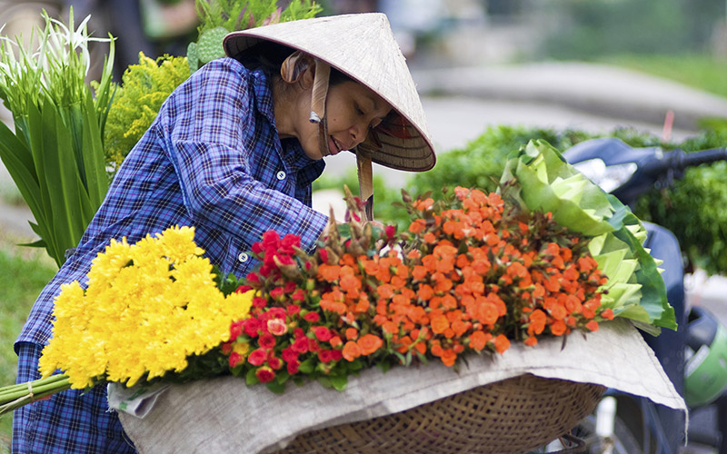 fleurs rue hanoi vietnam