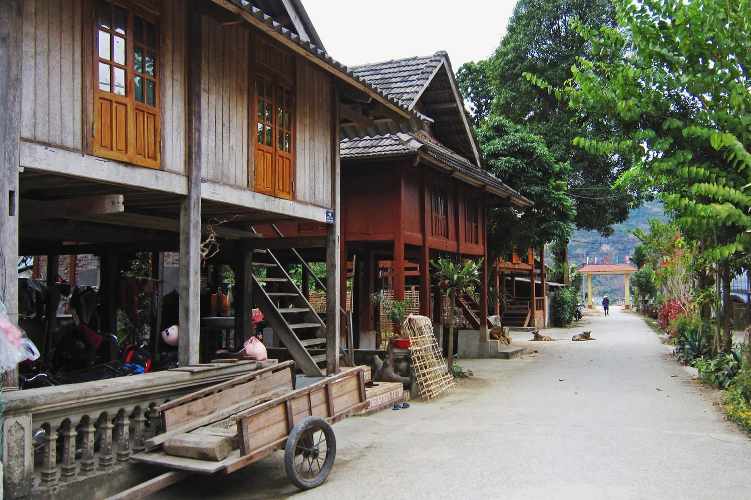 Village du vietnam maison sur pilotis